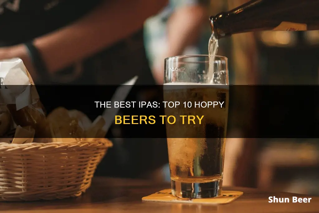 what are the top 10 ipa beers