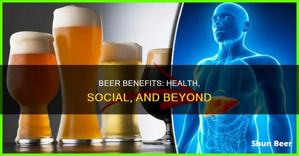 what are the uses of drinking beer