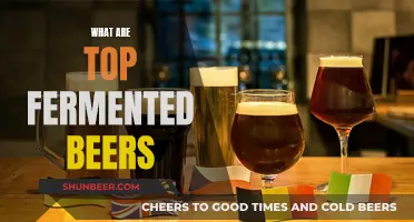 Exploring the Art of Top-Fermented Beers: A Craft Beer Journey