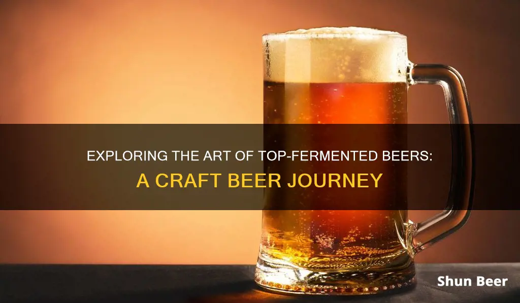 what are top fermented beers