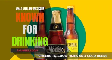 Mexicans' Favorite Beer: A Cultural Drinking Experience