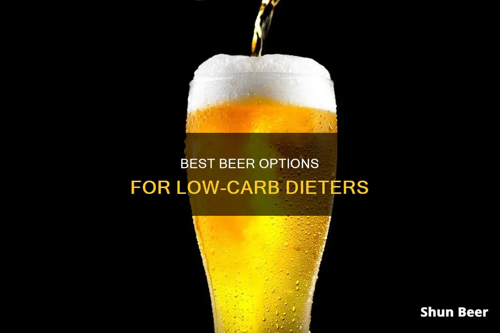 what beer can i drink on a low carb diet