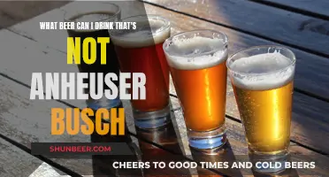 Craft Beer Exploration: Beyond the Anheuser-Busch Realm