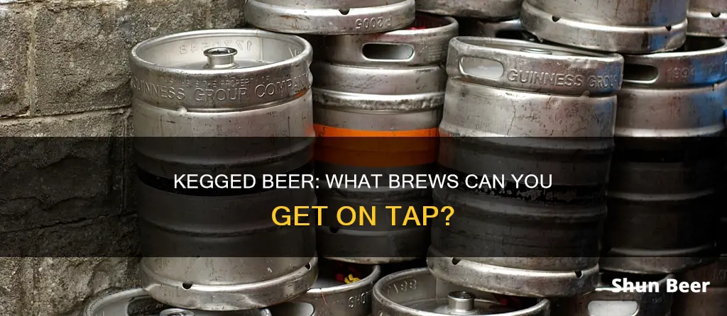 what beer can you buy in a keg