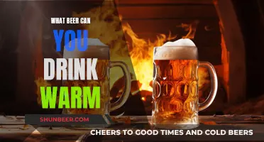 Warm Beer: What Brews Taste Best Unchilled?