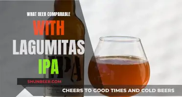 Craft Beer Enthusiasts: Comparing IPAs to Lagunitas' Signature Brew