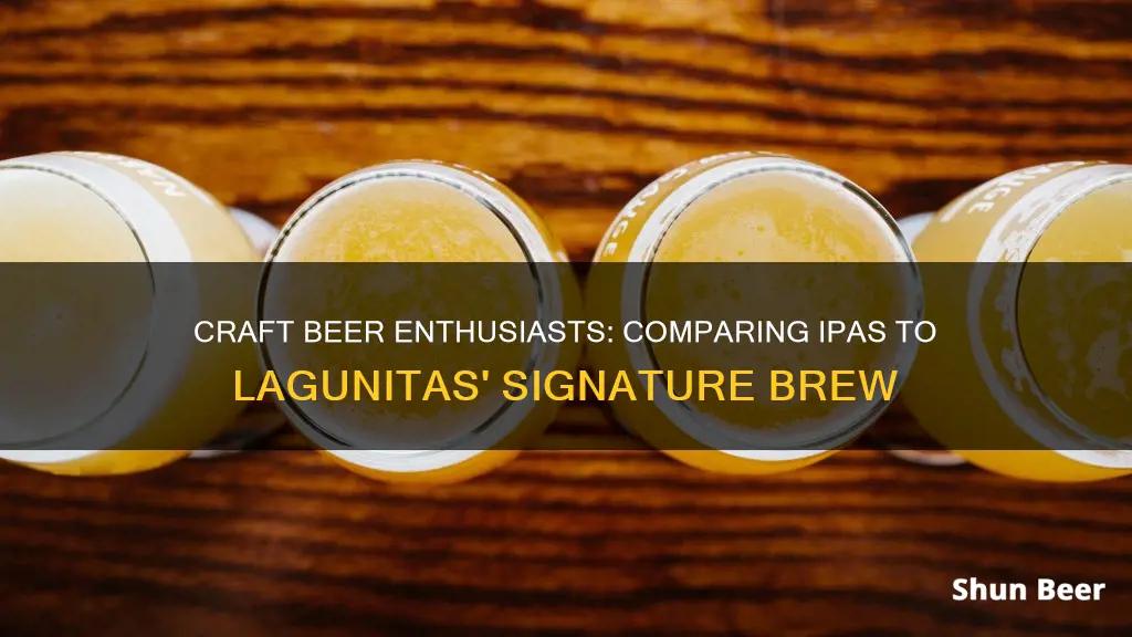 what beer comparable with lagumitas ipa