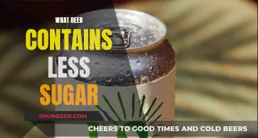 Best Low-Sugar Beers: Enjoy Guilt-Free Sipping