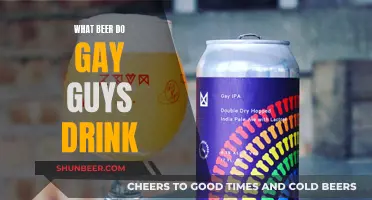 Gay Men's Beer Preferences: What's Their Favorite Brew?