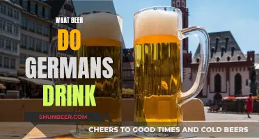 German Beer Guide: What Do Germans Drink?