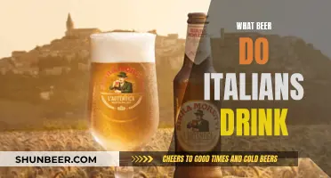 Italian Beer: What's Brewing in Italy's Beer Scene?