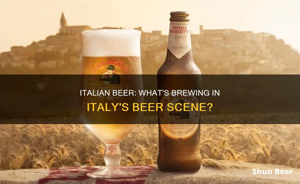 what beer do italians drink