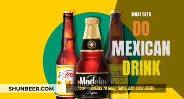 Mexican Beer: What's in the Glass?