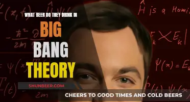 The Big Bang Theory's Favorite Beer Revealed