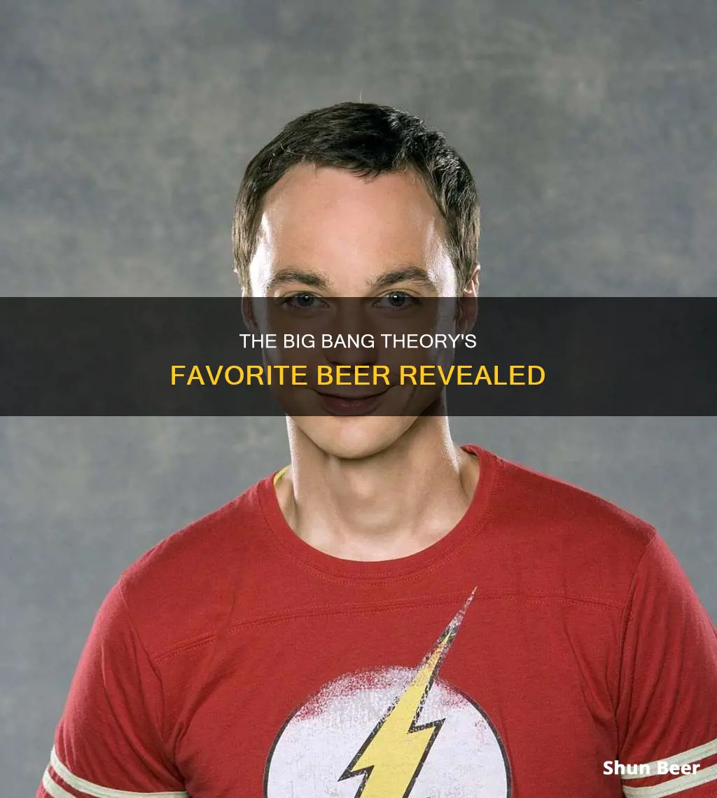 what beer do they drink in big bang theory