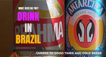 Brazilian Beer: What's on Tap in Brazil?