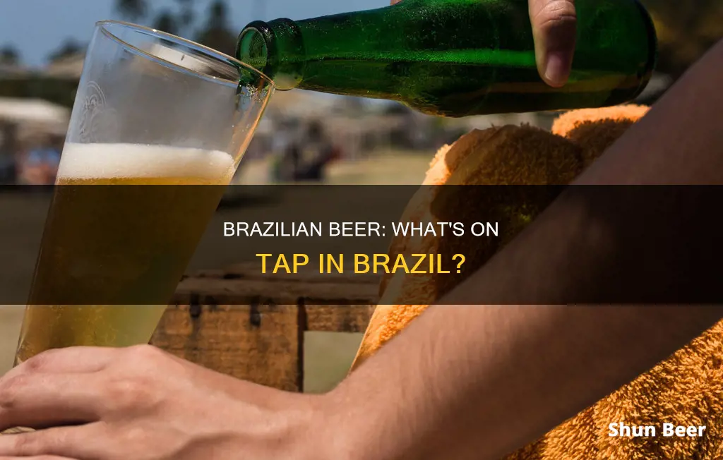 what beer do they drink in brazil