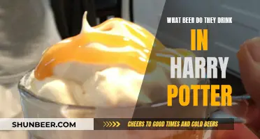 Harry Potter's Magical Beer: A Muggle's Guide