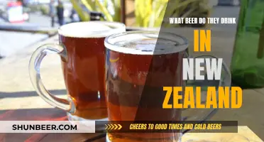 New Zealand's Favorite Beer: A Cultural Drinking Experience