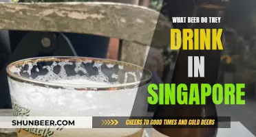 Singapore's Favorite Beer: A Cultural Drinking Experience