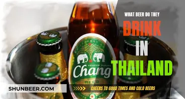 Thailand's Favorite Beer: A Cultural Drinking Experience