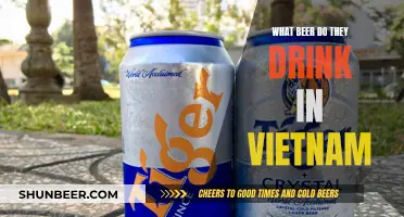 Exploring the Beer Choices of Vietnam