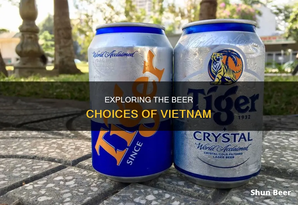 what beer do they drink in vietnam