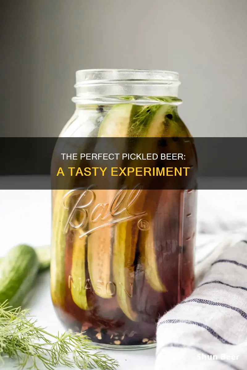 what beer do you put pickles in