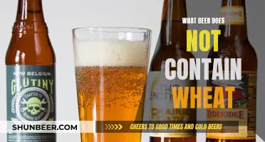 Gluten-Free Beer: Wheat-Free Alternatives for Beer Lovers