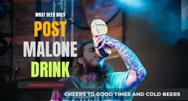 Post Malone's Favorite Beer: What He Enjoys Drinking