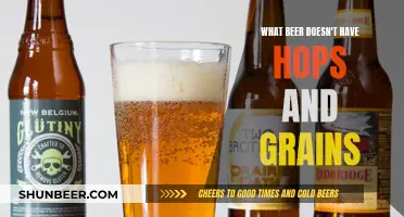 The Best Grain-Free, Hop-Free Beers You Can Enjoy