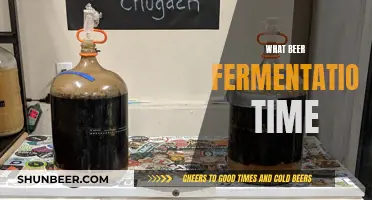 Unlocking Flavor: Exploring Optimal Beer Fermentation Times