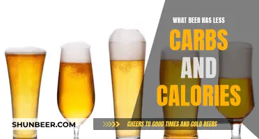 Best Low-Carb Beers: Fewer Calories, Maximum Taste