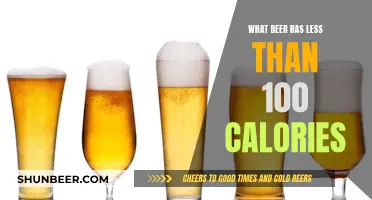 Low-Calorie Beers: Less Than 100 Calories, More Taste