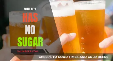 Best Sugar-Free Beers: Enjoy Guilt-Free Sipping