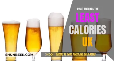 Best Low-Calorie Beers: UK Edition