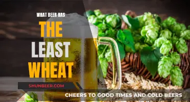 Best Wheat-Free Beers: Enjoy Without the Wheat