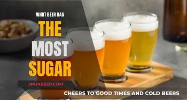 Best Sweet Beer Options: High-Sugar Content Choices