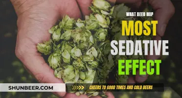 Sedative Hops: Brewing Relaxing Beers With These Hops