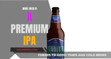 The Ultimate Premium IPAs: A Beer Connoisseur's Guide