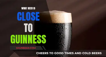 Stouts Similar to Guinness: Exploring Dark Beer Alternatives