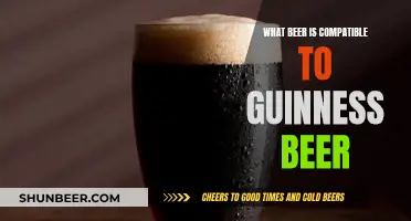 Guinness Beer Alternatives: Exploring Dark Beer Options