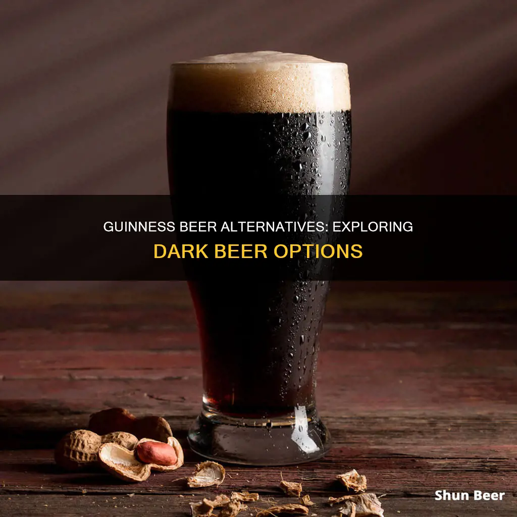 what beer is compatible to guinness beer