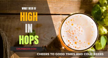 Hops-Centric Beers: High Hop Brews to Try