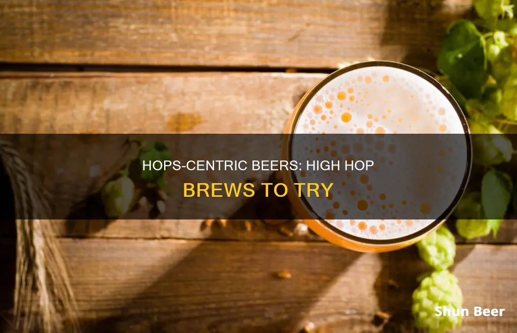 what beer is high in hops