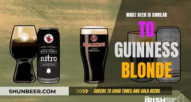 Craft Beer Enthusiasts: Guinness Blonde Alternatives