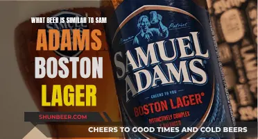 Craft Lager Alternatives: Exploring Similar Beer Styles to Sam Adams Boston Lager