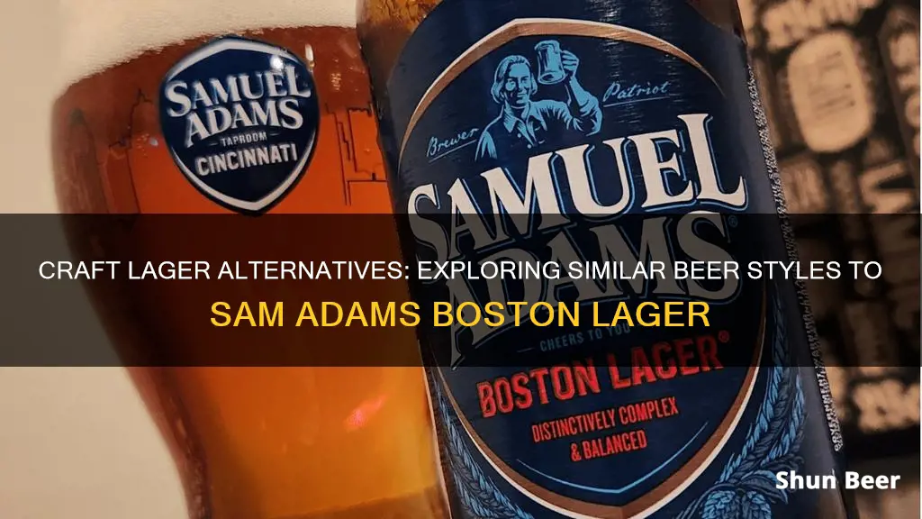 what beer is similar to sam adams boston lager