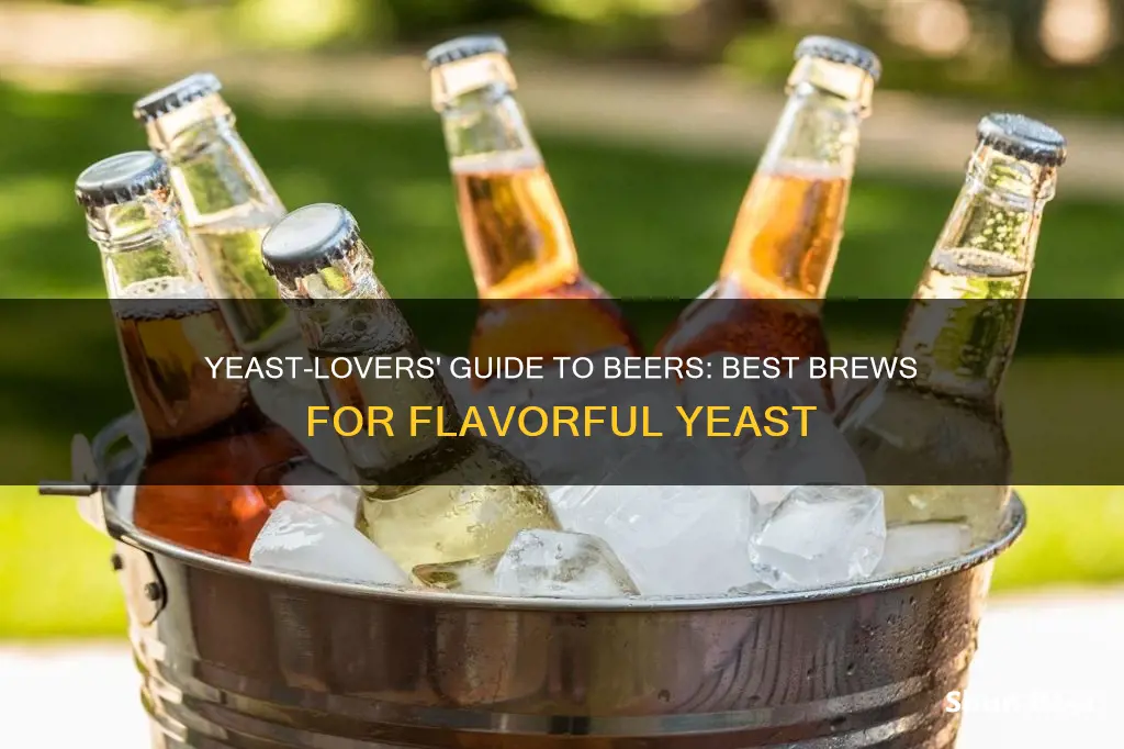 what beer is the best to drink for yeast