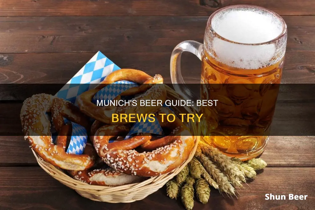 what beer should i drink in munich